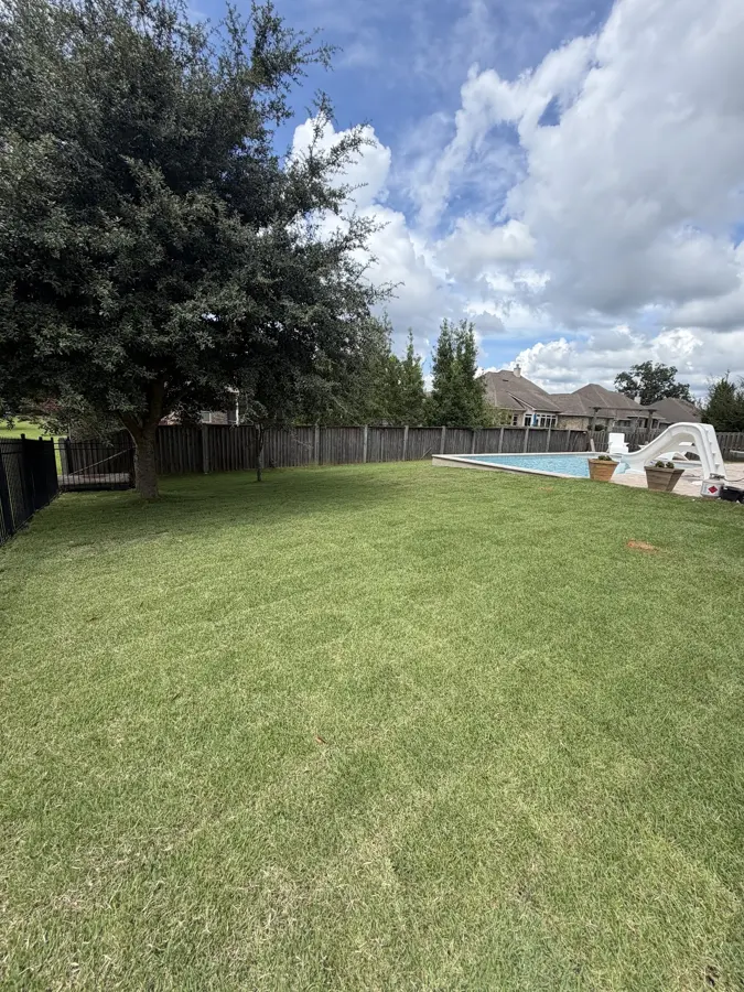 Freshly cut backyard lawn