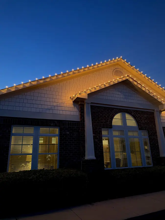 Holiday roofline lights